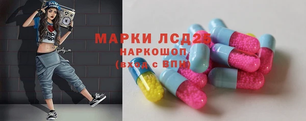 стаф Бородино