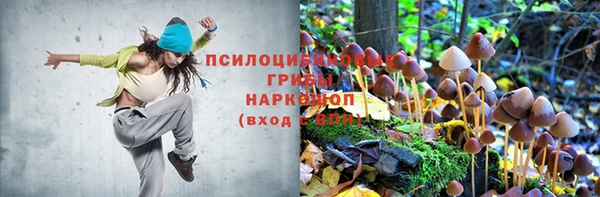 mdpv Володарск